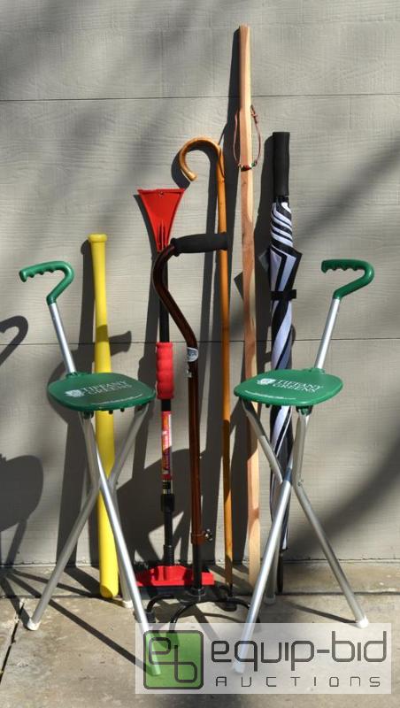 lot 5094 image: Long Things With Handles  Hand carved walking...