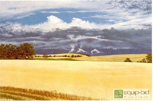 lot 4004 image: Bountiful Balance Give and Take on the Plains - D. George Prisbe