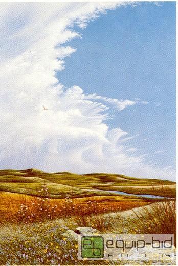 lot 4005 image: Prairie Paradise The Nature Conservancys Ordway - D. George Prisbe
