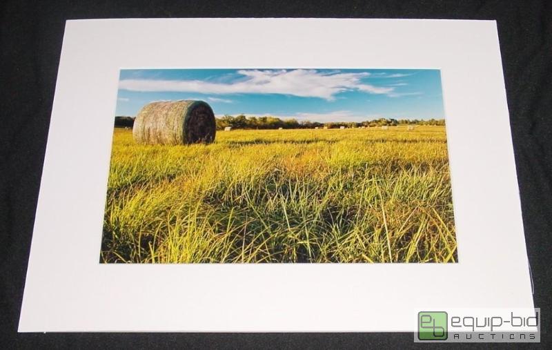 lot 4014 image: Hay Field Round Hay Bales - Brad Mangas