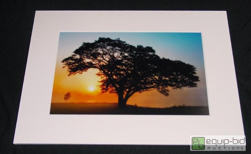 lot 4018 image: Sunset Single Tree - Brad Mangas
