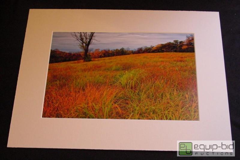 lot 4019 image: Fall Field - Brad Mangas