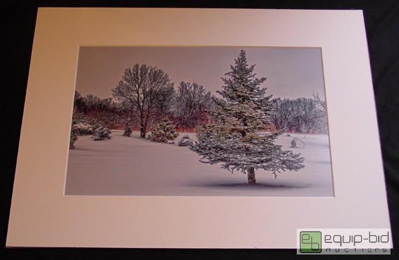 lot 4020 image: Winter Snow Trees - Brad Mangas