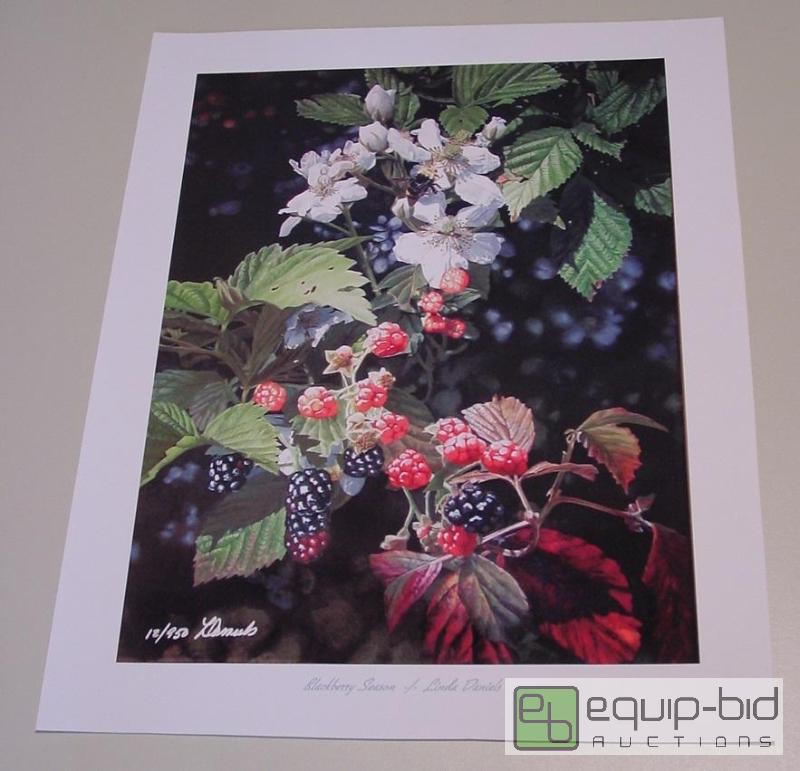 lot 4055 image: Blackberry Season - Linda Daniels