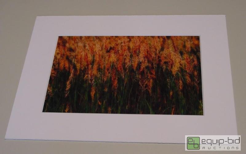 lot 4068 image: Fall Grasses - Brad Mangas