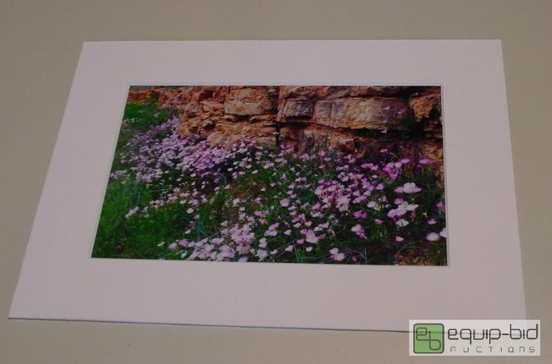 lot 4069 image: Purple Flowers and Rock Ledge - Brad Mangas