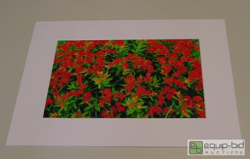 lot 4070 image: Red Flowers - Brad Mangas