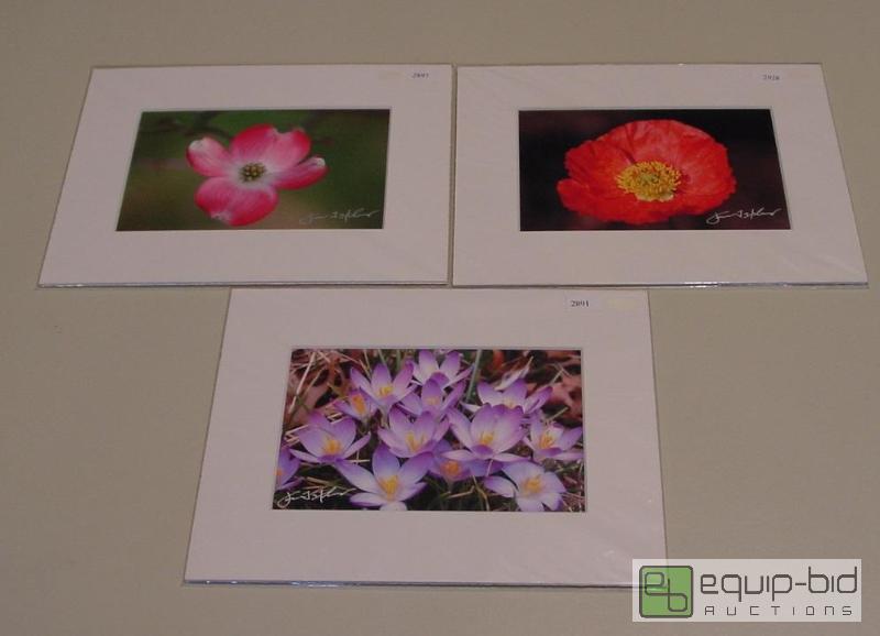 lot 4081 image: Group 1A - QTY 3 - Photos - Signed