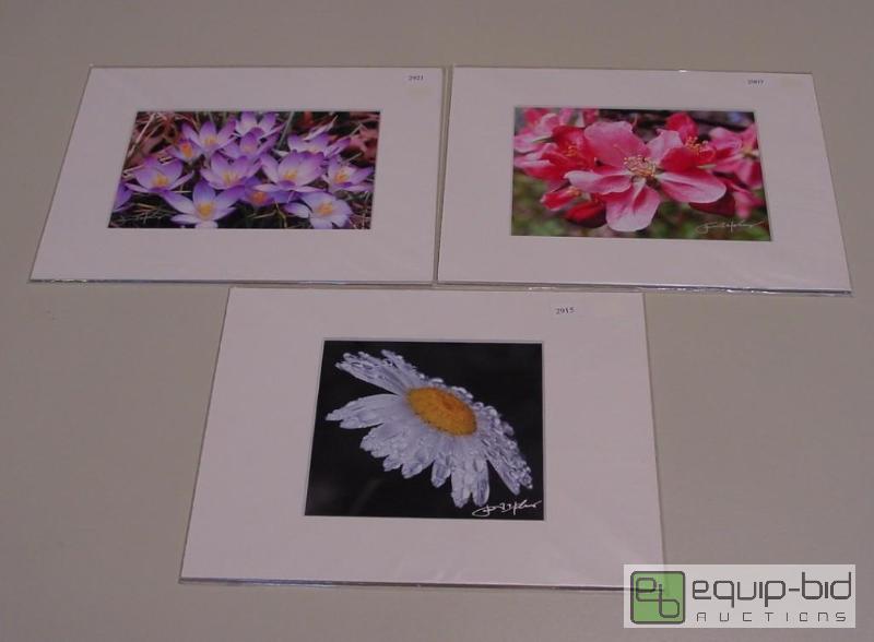 lot 4083 image: Group 2A - QTY 3 - Photos - Signed