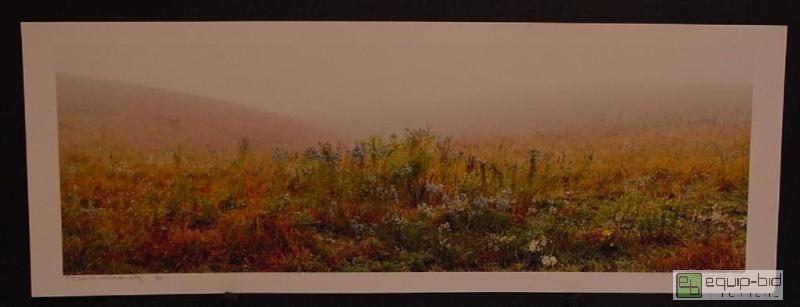 lot 4089 image: Flint Hills Wildflowers In Fog - John Morrison