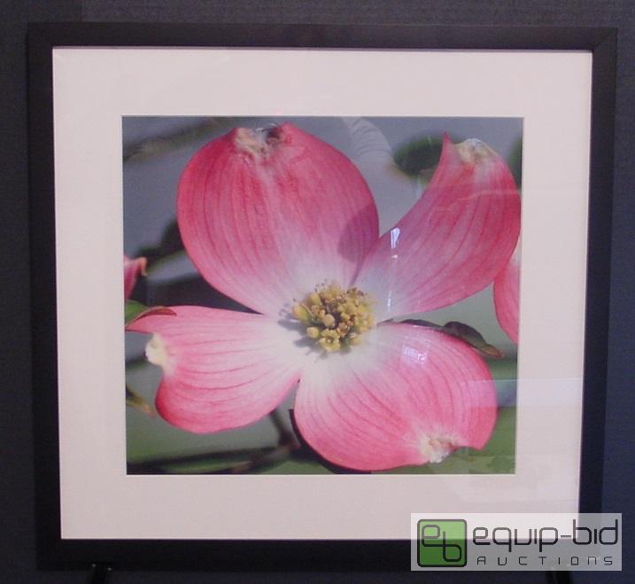 lot 4206 image: Single Bloom - Jarrod Herbers - Frame