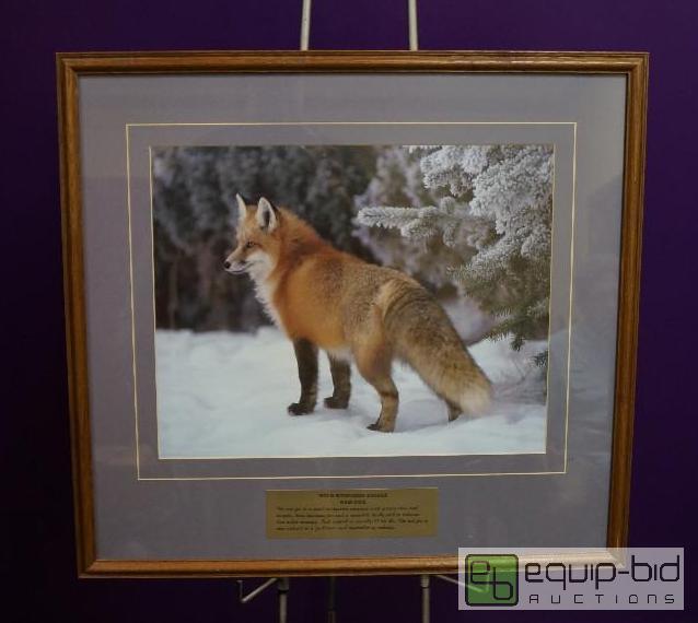 lot 7009 image: Wild Kingdom Series  Red Fox  Large Matted ...