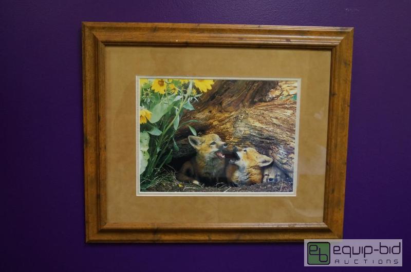 lot 7017 image: 3 little Foxes  Very Nice Colors  Matted an...