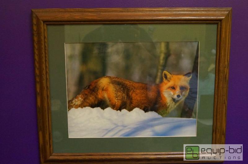lot 7019 image: Fox Picture  Nice Colors  Matted and Framed...