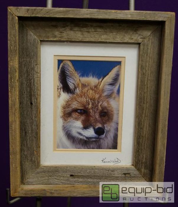 lot 7031 image: Barn Board Framed Red Fox by Kennan Ward  Ma...