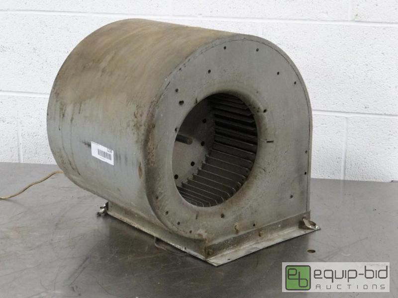 lot 1236 image: Squirrel Fan