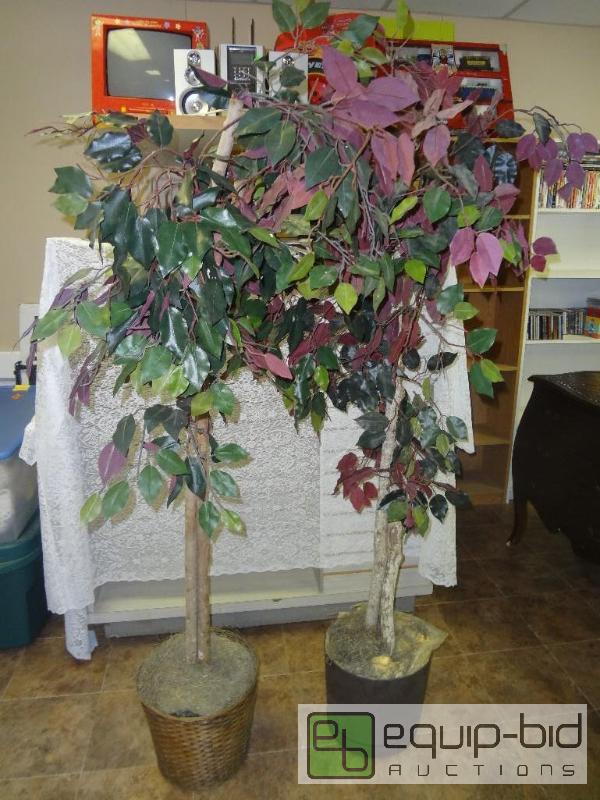 lot 43 image: Pair of Fake Trees...