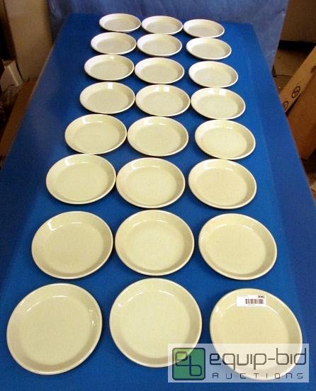 lot 3044 image: Dinex Plates QTY 24 7.5 INCH