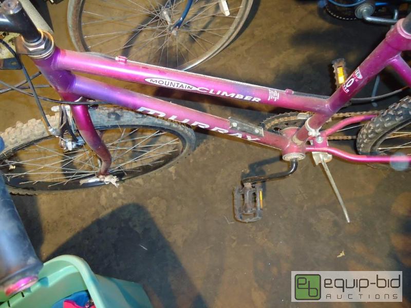 lot 51 image: Girls Bicycle