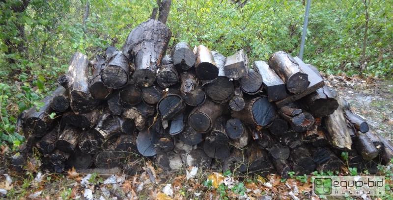 lot 102 image: 14 Cord of Firewood
