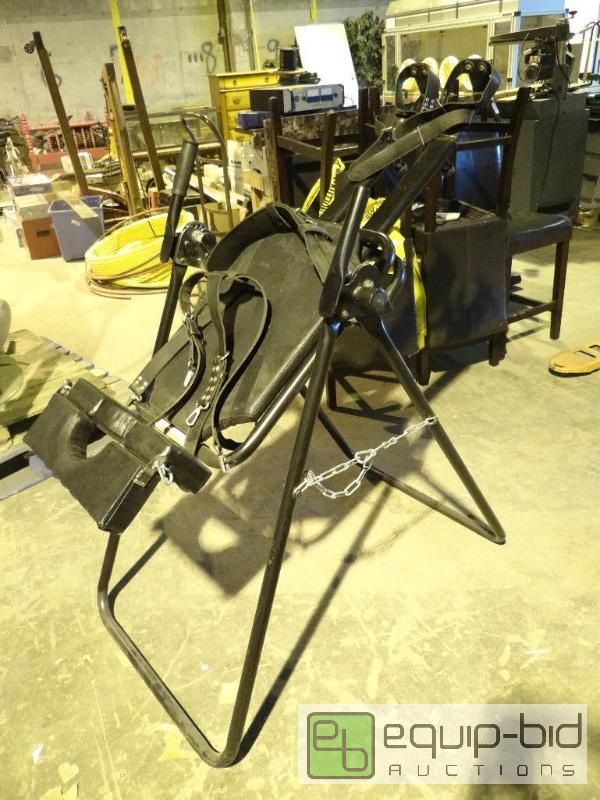 lot 6011 image: Professional Medical Vertical Back Extension System