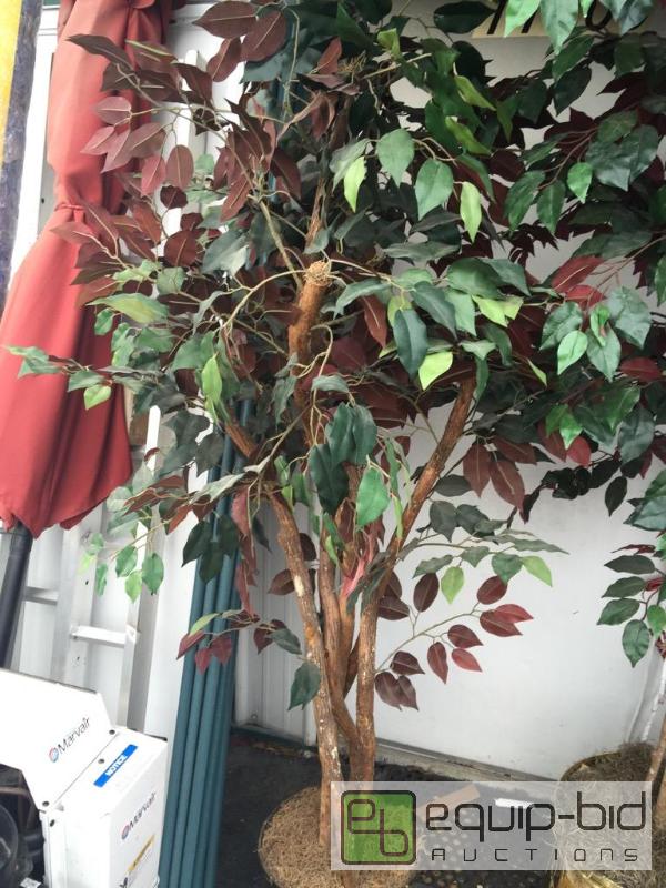 lot 18 image: 6 foot decorative silk tree...