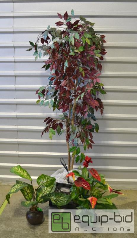 lot 6001 image: Silk Plants - Nice looking silk plants