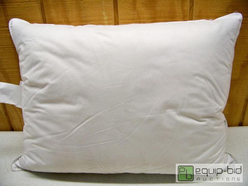 lot 1497 image: New Generation Zone Standard Size Down Pillow