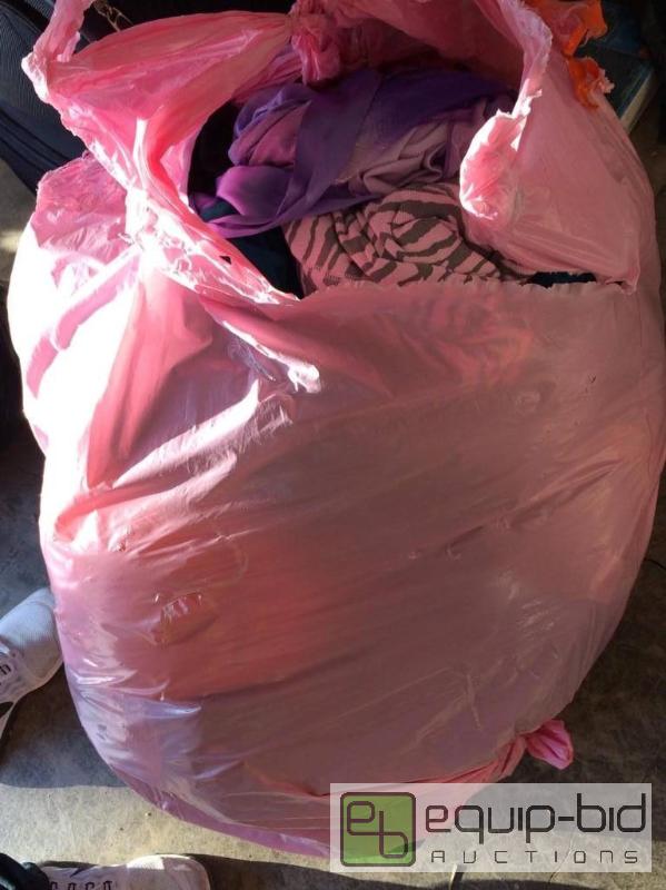 lot 251 image: Pink Mystery Trash Bag