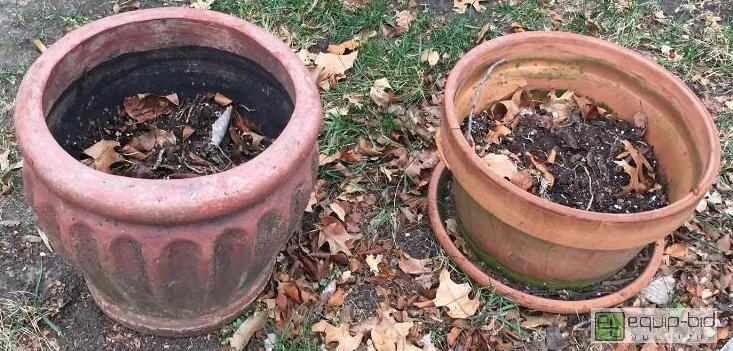 lot 2999 image: 2 Outdoor Pots