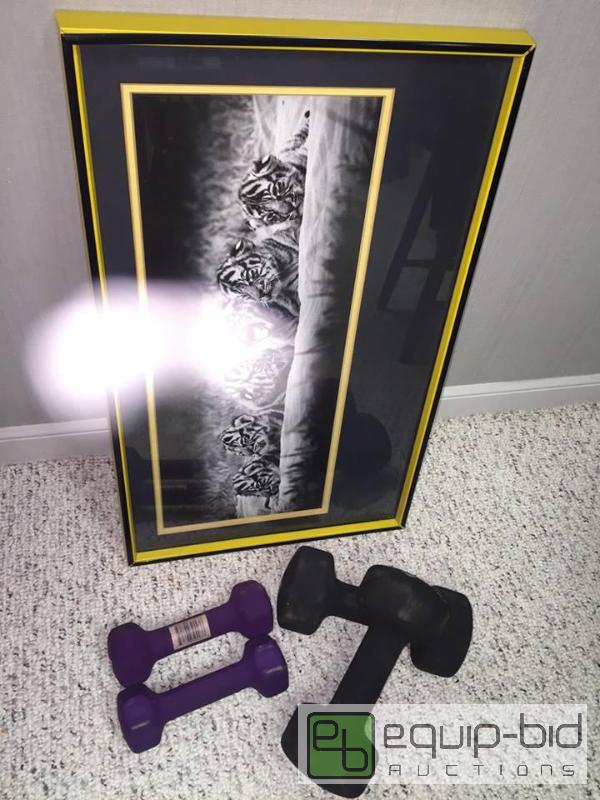lot 68 image: Framed Cat Picture and Dumbells