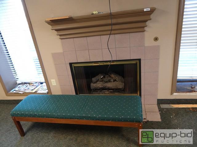 lot 473 image: Wall Insert Gas Fireplace