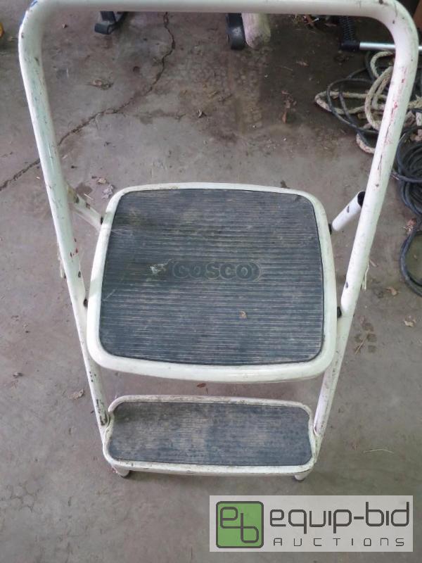 lot 233 image: Costco Step Stool