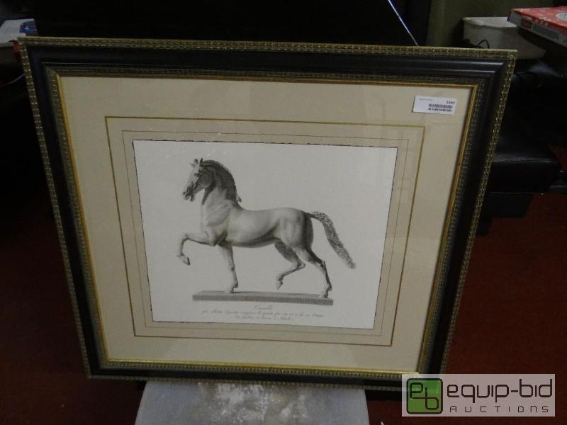 lot 1543 image: Large framed Horse Study print.  30&quot x 2...