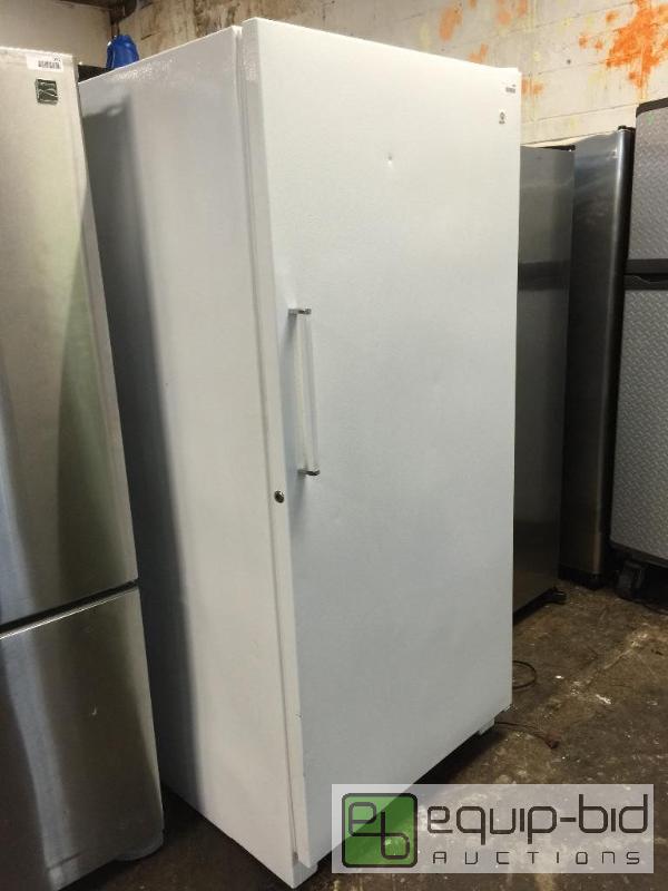 lot 1089 image: GE 20.2 Cu. Ft. Frost-Free Upright Freezer