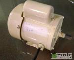 lot 4390 image: 12 hp 120 volt electric motor, shaft is 12 ...