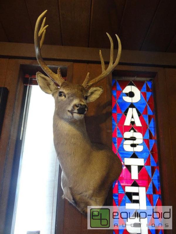 lot 569 image: 9 point white tail deer wall mount....