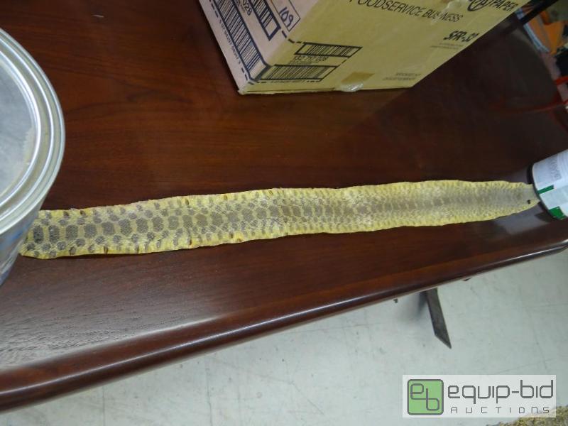 lot 911 image: Rattlesnake hide. 48&quot long,...