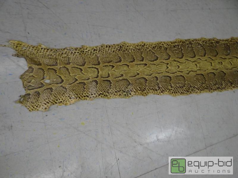 lot 912 image: RARE African rock python tanned hide.  15 ft ...