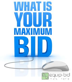 lot 3 image: Maximum Bidding
