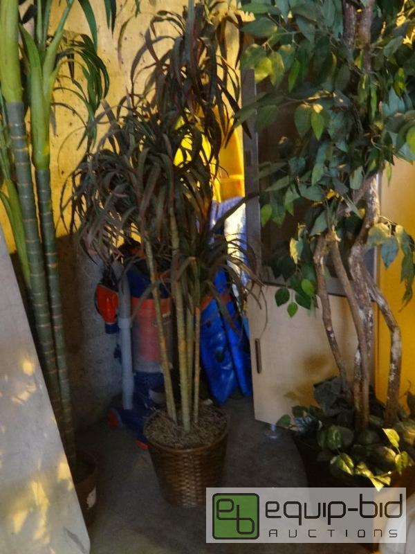 lot 4216 image: Lot of (3) Artificial House Plants