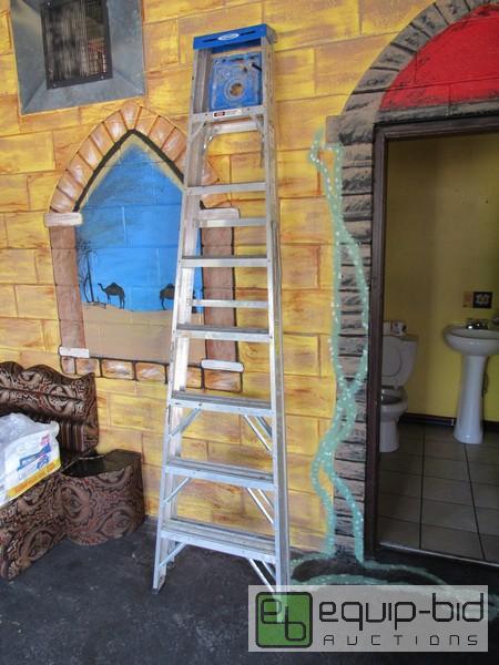 lot 223 image: Werner 8 Step Ladder