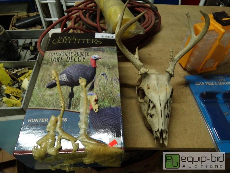 lot 1075 image: Skull and Turkey decor....