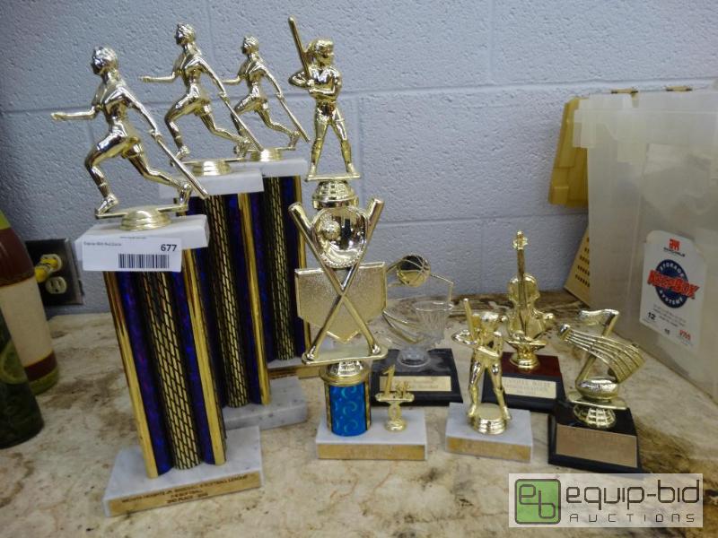 lot 677 image: Lot of 8 various trophies....