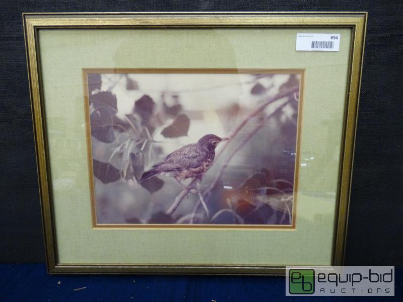lot 694 image: Frame Print&nbsp  Meadowlark In Cotton Wood ...