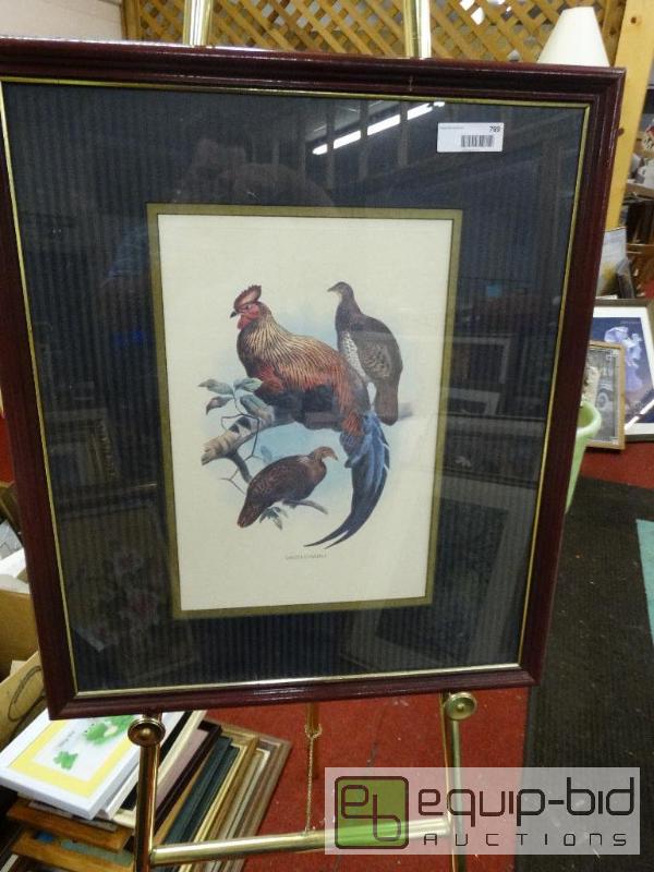 lot 789 image: Frame Print&nbsp  Framed Print Of Chikens.  ...