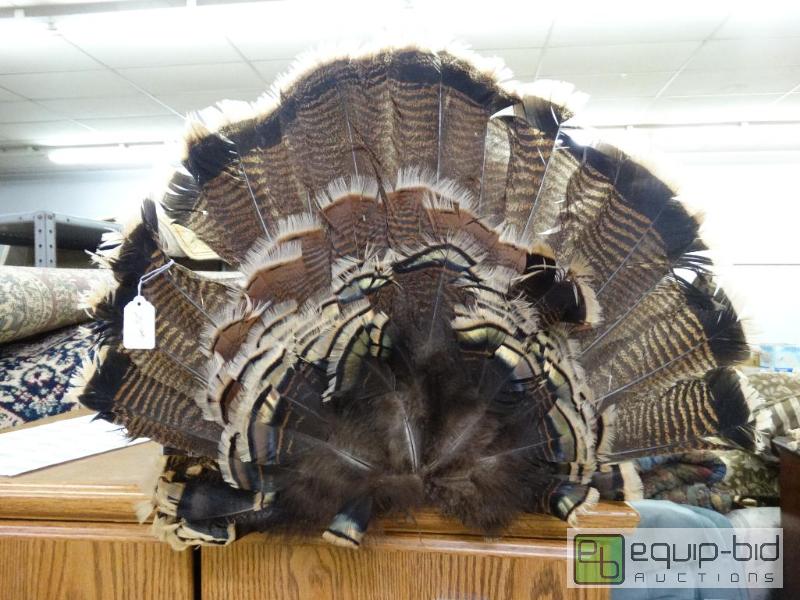 lot 1046 image: Turkey Fan....