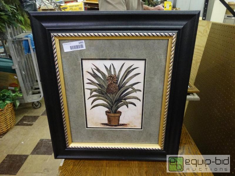 lot 1051 image: Pine Apple Tree....
