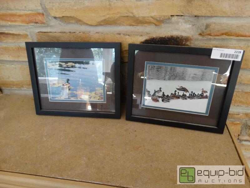 lot 2228 image: Framed photos of ducks.  8 x 11...